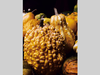 Calabaza natural