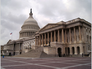 Capitolio situado en Washington D.C