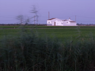 Casa blanca en los campos de arroz