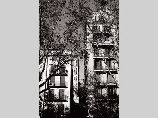 Entre los edificios del Born
