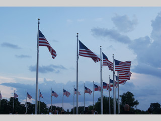  Grupo de banderas americanas 