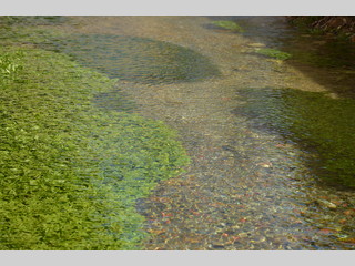 Río poco profundo